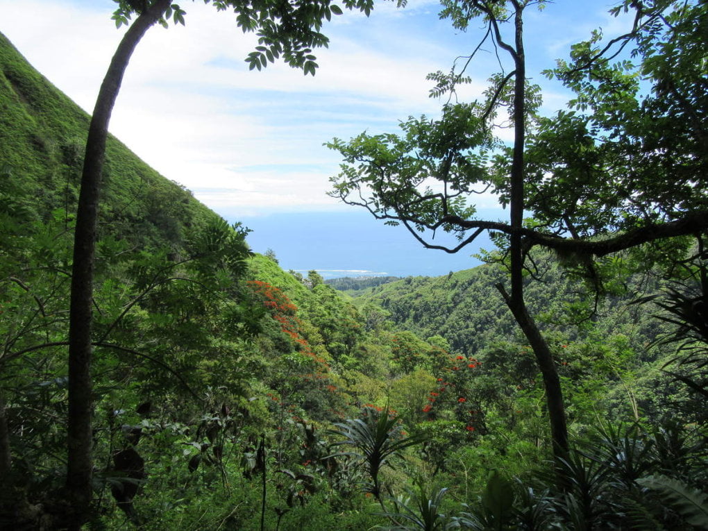 Rando Mont Aorai - Hommes de Polynésie