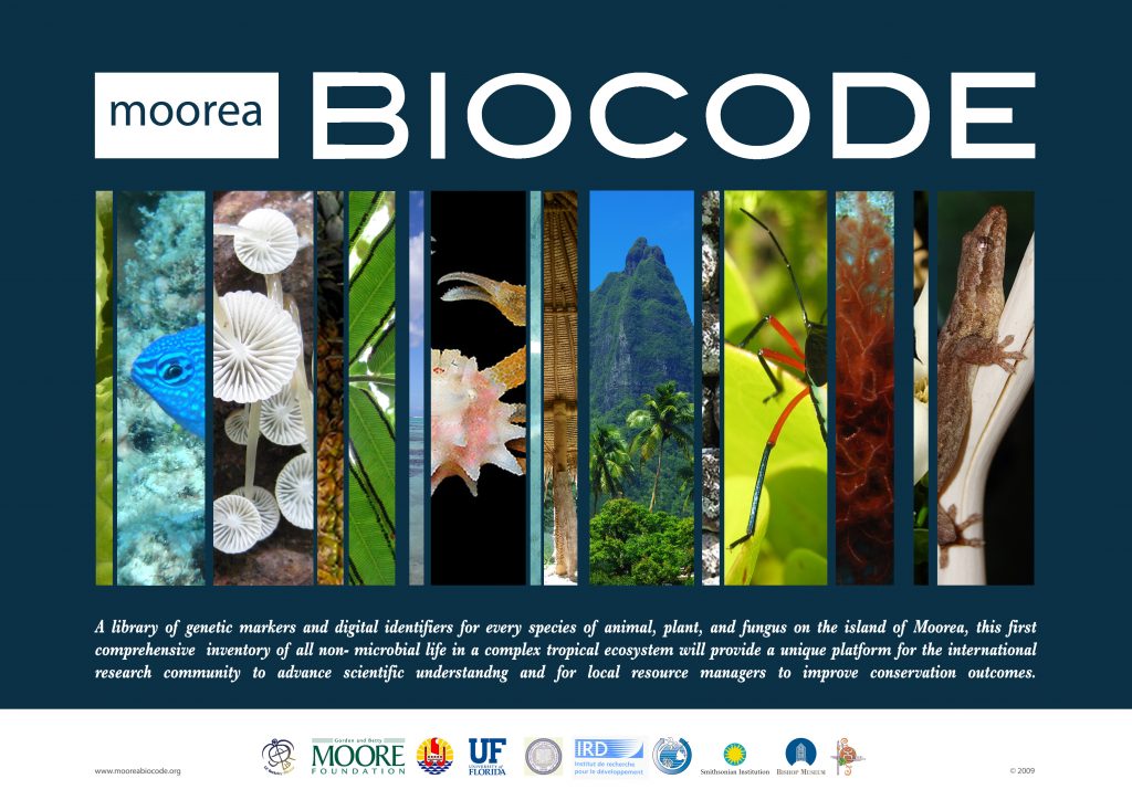 Participation au Biocode de Moorea