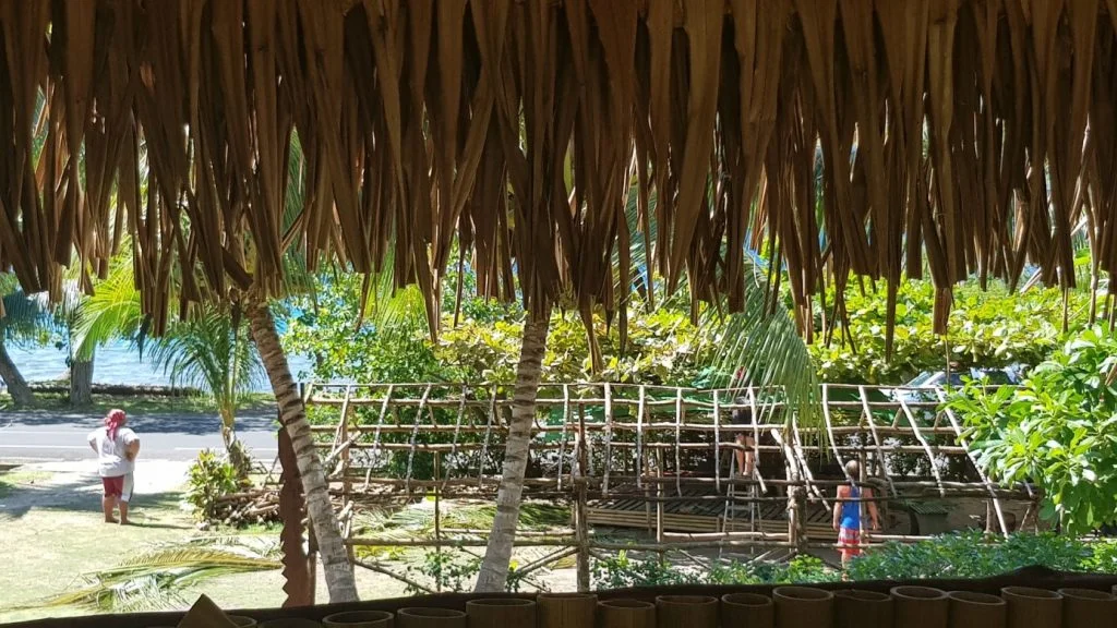 tatau i moorea3