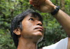 Laurent Yan