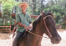 <strong>Terai Maihi, propriétaire du Ranch Opunohu Valley</strong>