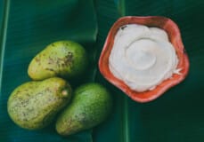 Mayonnaise à l'avocat Tahiti Hommes de Polynésie Recette