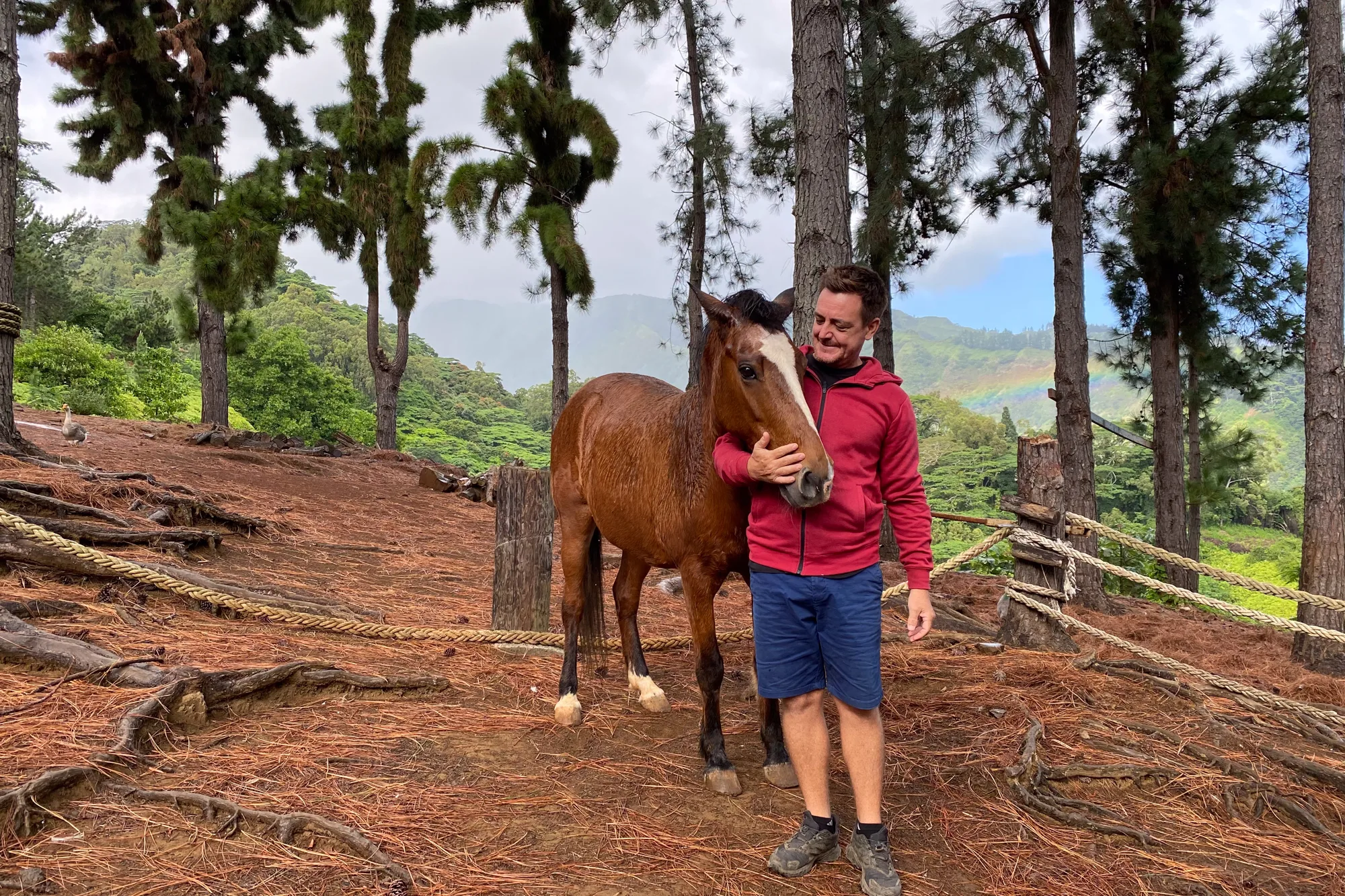 Manutea Gastambide, Rainbow Park, Pirae