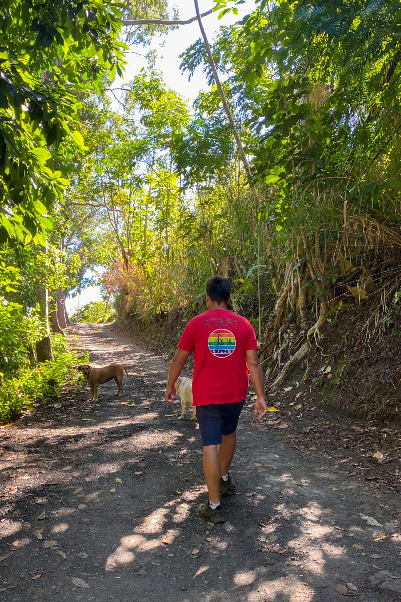 Manutea Gastambide du Rainbow Park, Tahiti