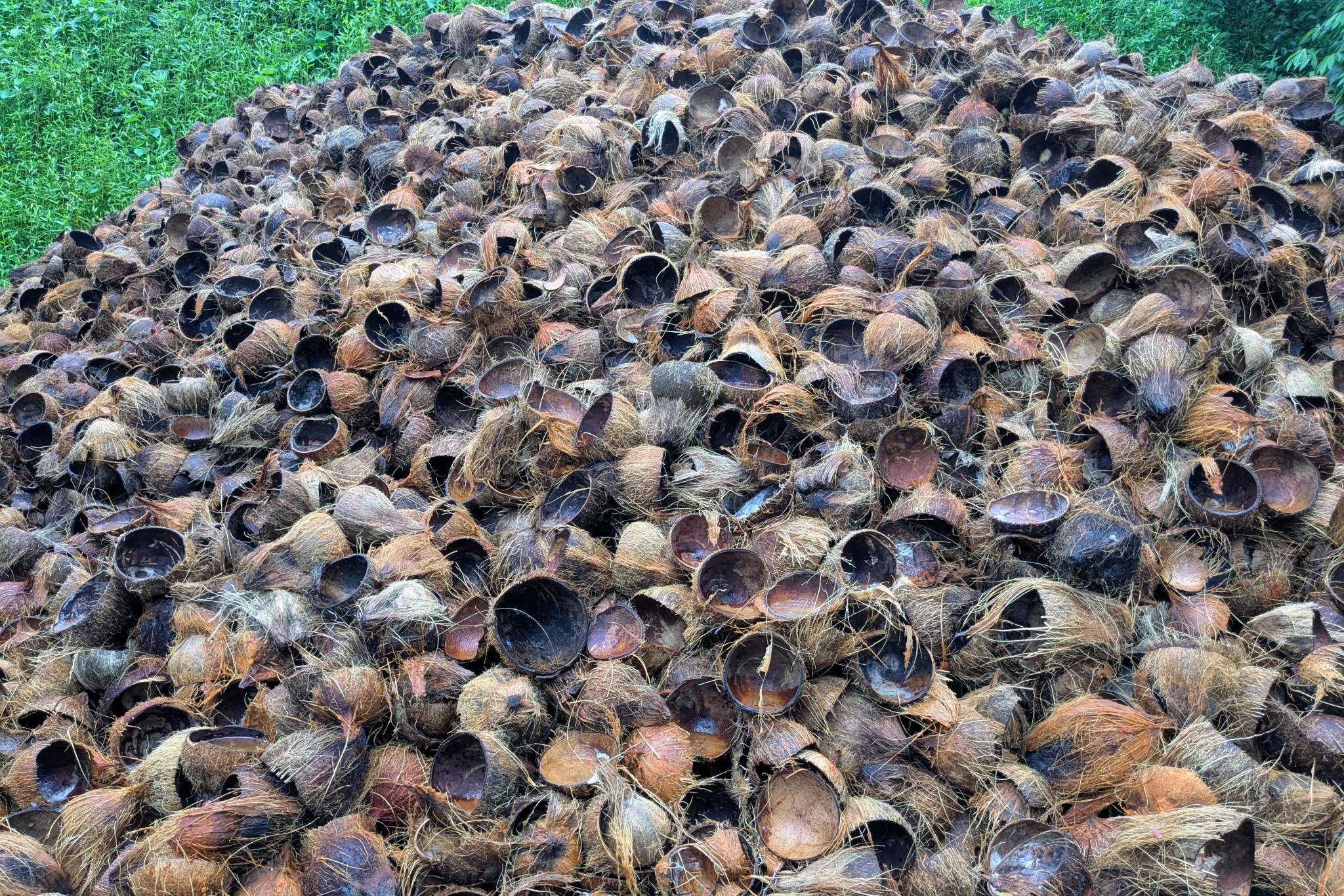 Arii Hoan Hommes de Polynesie Credit : Pauline Stasi