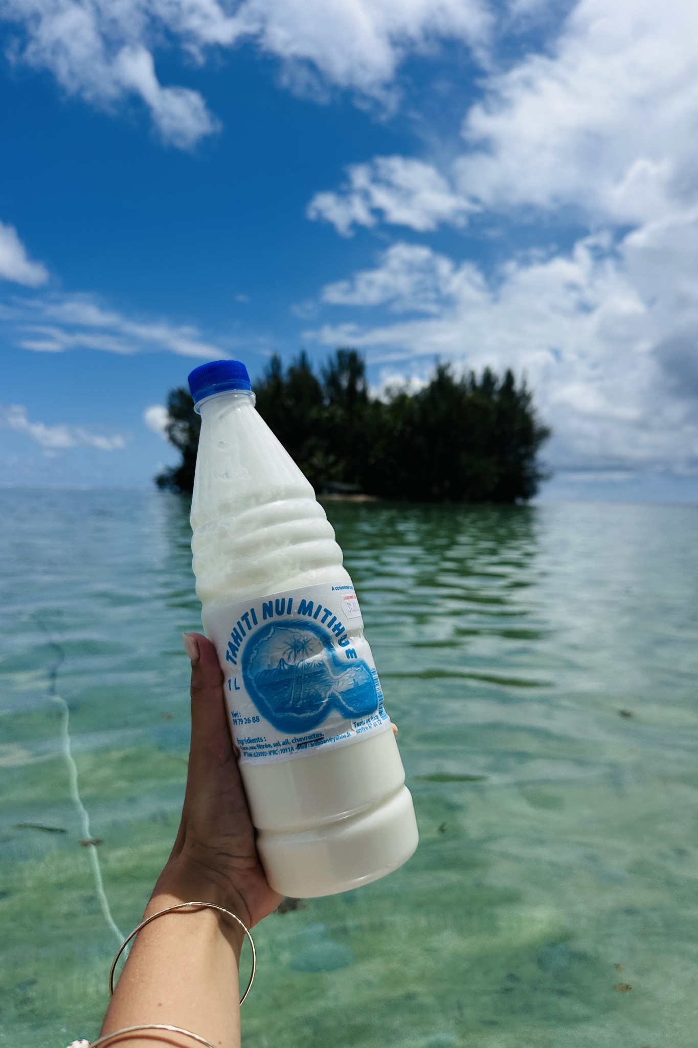 Arii Hoan Hommes de Polynesie