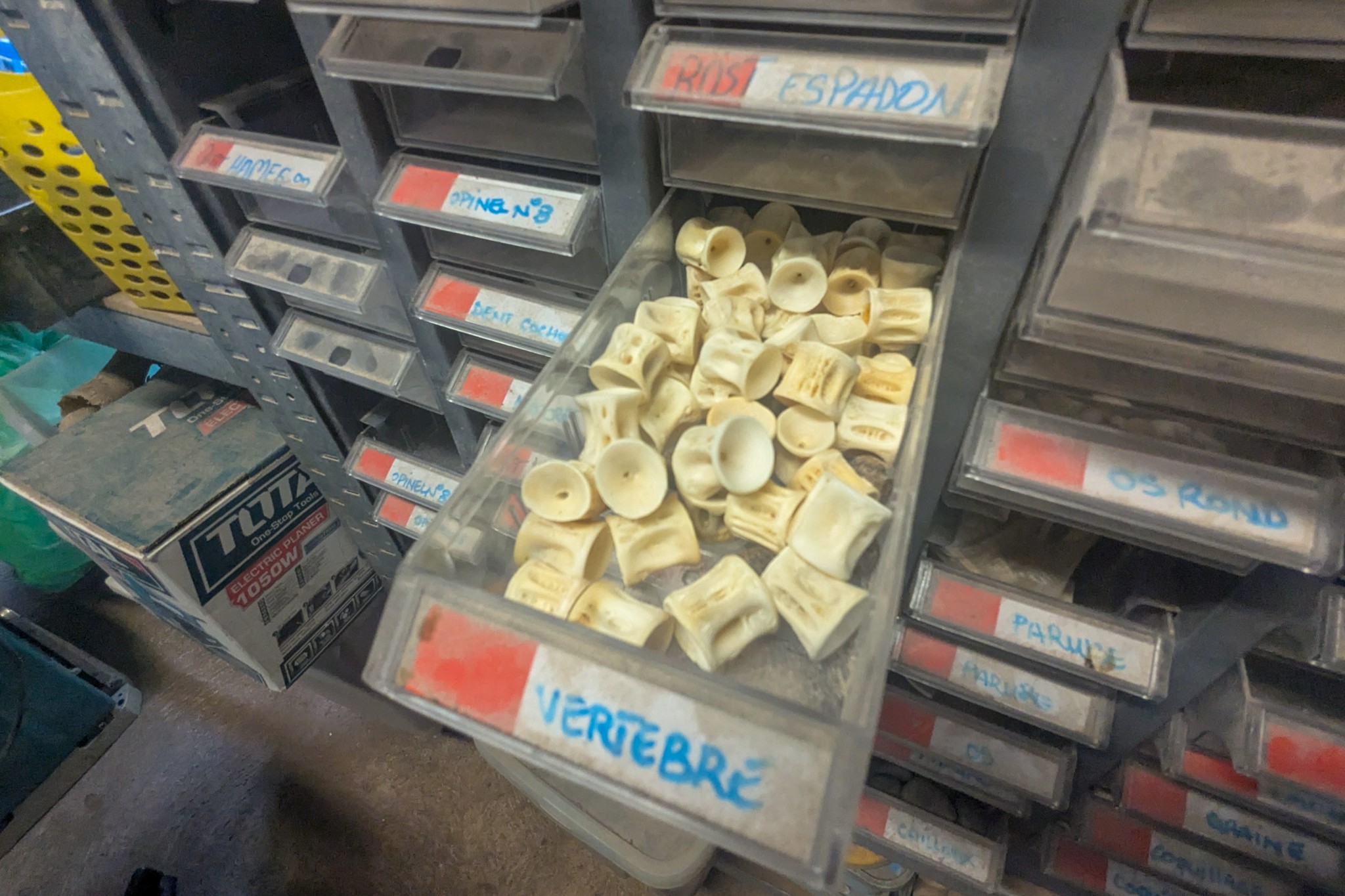 Derry Changuy, graveur et sculpteur polynésien