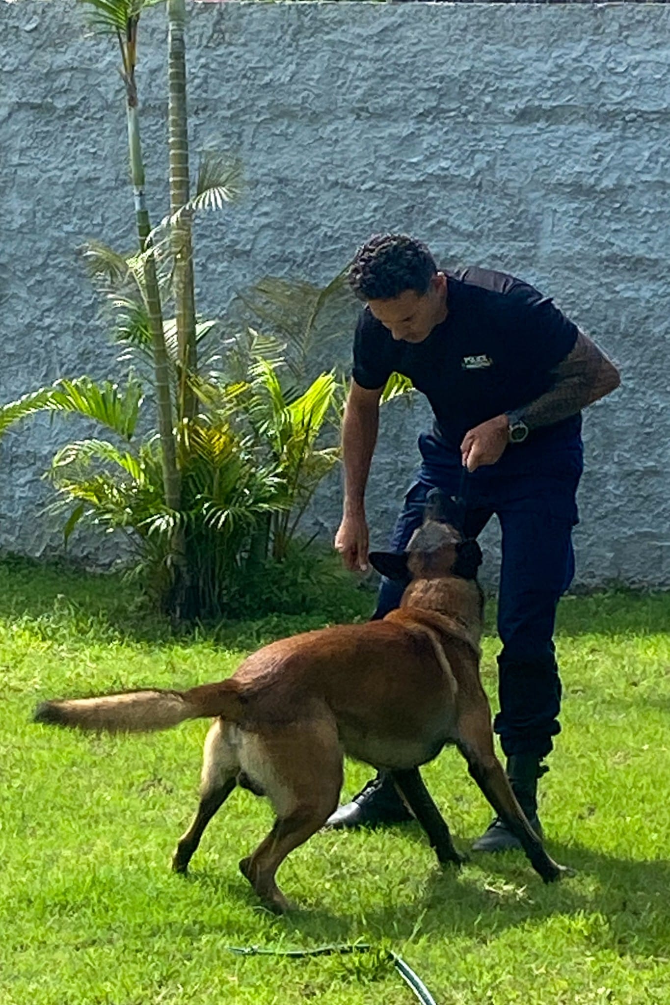 Steeven Geva, policier cynophile Bora Bora