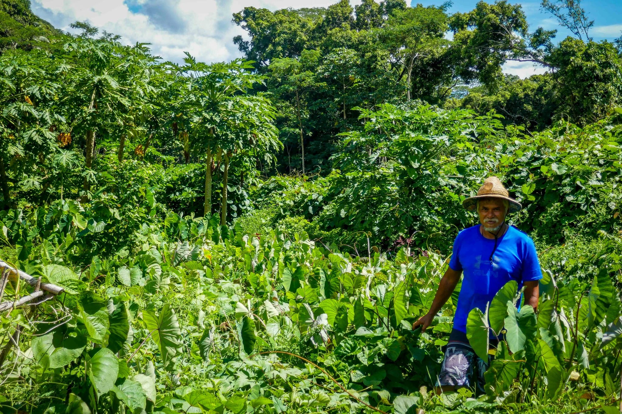 L'agriculteur Faustin Ah Yun de Raiatea
