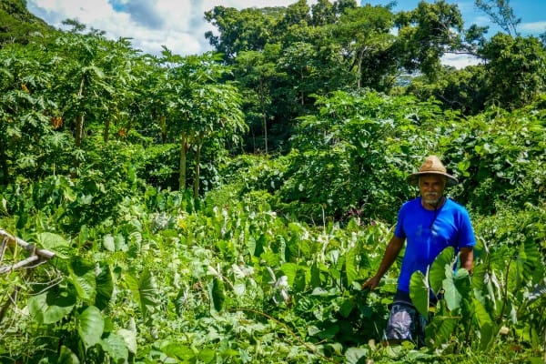 L'agriculteur Faustin Ah Yun de Raiatea