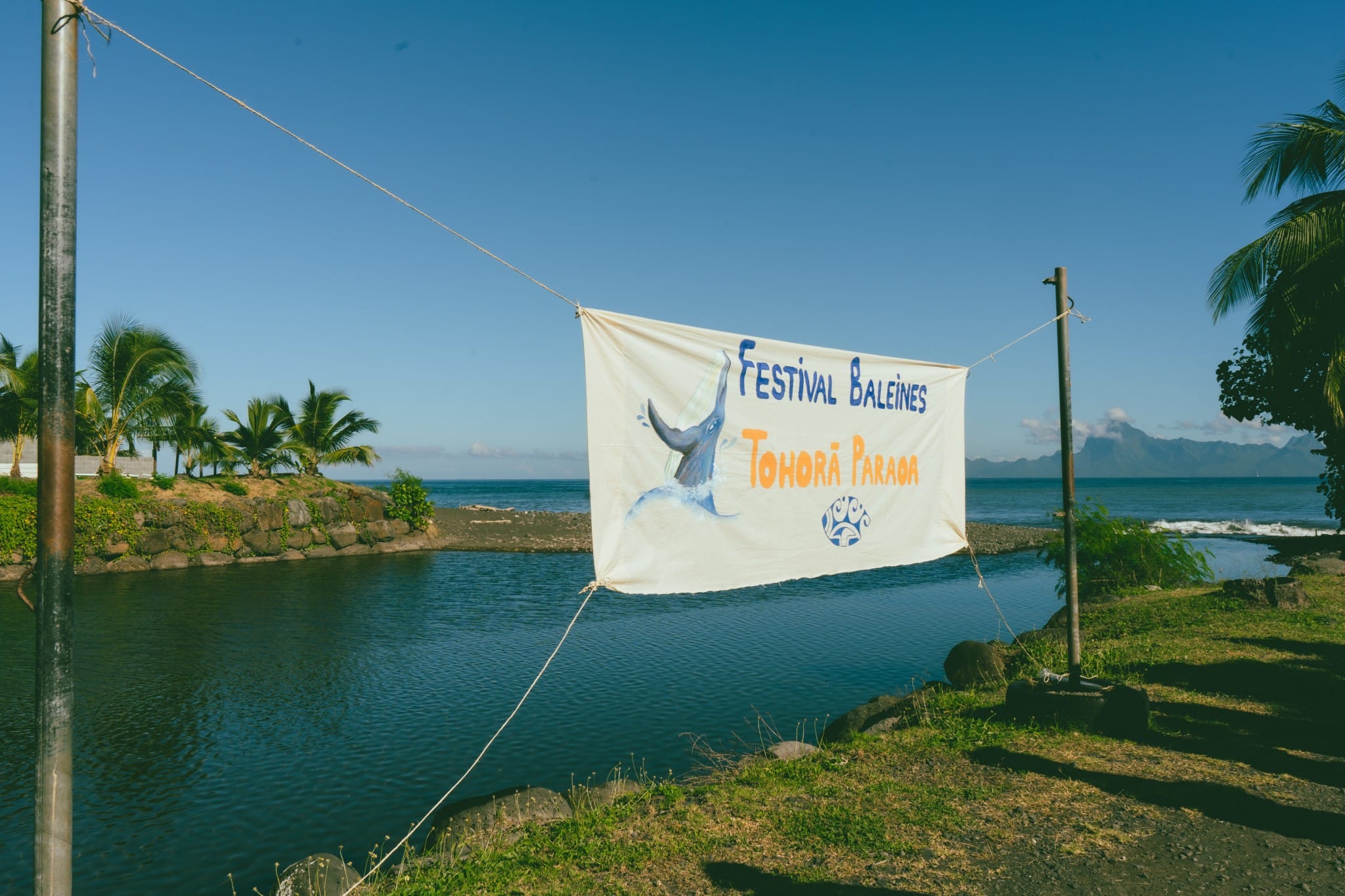 Francis Lai Association Veia Rai Festival des Baleines Credit : Cartouche Louise-Michele